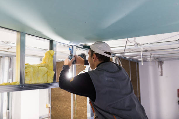 Types of Insulation We Offer in Nevada, TX