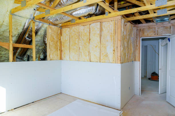 Best Insulation Maintenance and Repair in Nevada, TX