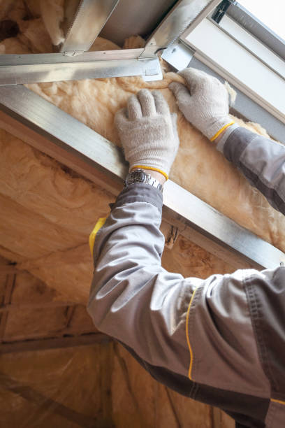 Best Blown-in Insulation in Nevada, TX