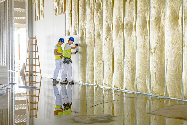 Best Geographic-Specific Insulation Services in Nevada, TX